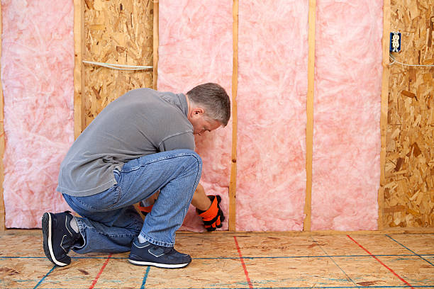 Best Spray Foam Insulation  in Rochester Hills, MI