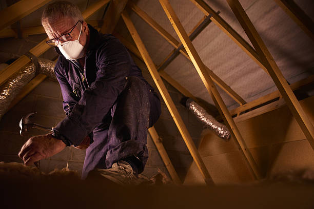Best Cellulose Insulation  in Rochester Hills, MI