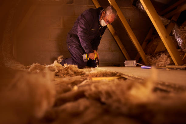 Best Crawl Space Insulation  in Rochester Hills, MI